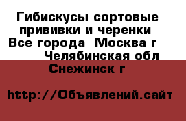 Гибискусы сортовые, прививки и черенки - Все города, Москва г.  »    . Челябинская обл.,Снежинск г.